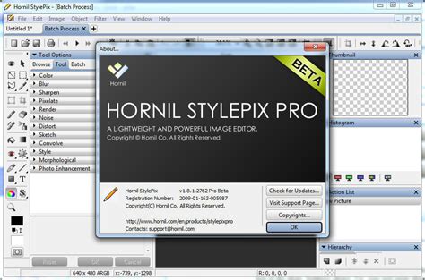 Completely access of the Portable Hornil Stylepix Pro 2.0